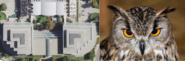 CIA OWL - Owl Photo credit: Unknown